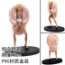Bàn tay bán chạy nhất Don Quixote Dover Langming làm bằng tay Ming Ge pop Qi Wuhai Xiao Tang - Capsule Đồ chơi / Búp bê / BJD / Đồ chơi binh sĩ mô hình máy bay đồ chơi Capsule Đồ chơi / Búp bê / BJD / Đồ chơi binh sĩ