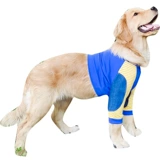 Золотой ретривер собака Кермид Лабораторная лабораторная лабрадор