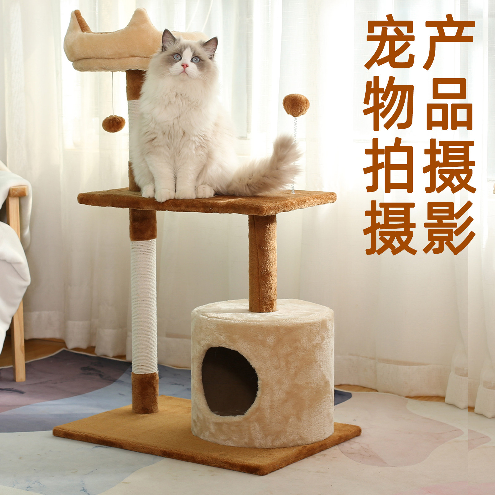 Amazon Pet Products Photography A Design cross-border e-commerce video cat and dog products photography service