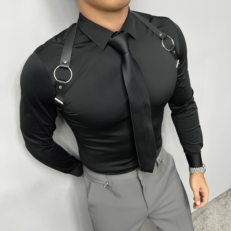 Mr. Hui's Spring and Summer Men's Long-Sleeved Shirt, Business Casual, No-Iron, Slim Fit, Solid Color, Stretchy, Seamless Professional Shirt