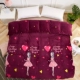 Mùa đông dày lông cừu san hô chăn đơn mảnh ấm sinh viên Falais cộng với nhung đơn flannel đôi chăn sang trọng chăn mỏng mùa hè