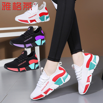 New Yang Liping Square Dance Shoes Womens Soft Bottom Four Seasons Dance Shoes Spring and Summer Adult Sports Fitness Jumping Ghost Dance Shoes