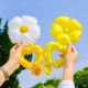 Huang Baiwei Chrysanthemum Ball Ball Balloon смешанный 50