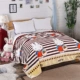 Chăn ấm hai lớp flannel dày chăn lông cừu san hô chăn nữ điều hòa không khí mùa đông giải trí đơn giường đôi chăn nhung