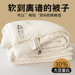 Class a All-Cotton Soybean Fiber Quilt, Summer Cooling Quilt, Air-Conditioning Quilt, Spring and Autumn Quilt, Winter Quilt, Quilt Core, Cotton Quilt, Suitable for All Seasons