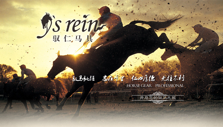 Article sports equestres - Ref 1381366 Image 7