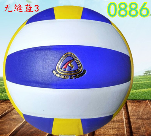 Ballon de volley-ball - Ref 2007947 Image 16