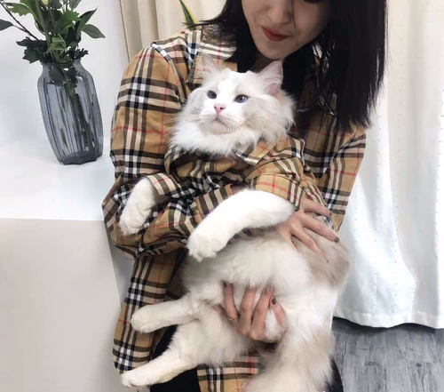 Радужная рубашка, летний шнурок-держатель, популярно в интернете