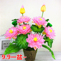 Simulation lotus lotus home for Buddha special living room decoration ornaments fake flower silk flower plastic small potted plants