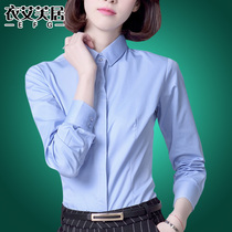 Dark button shirt Womens long-sleeved professional dress thin large size overalls Slim formal tooling velvet pure white cotton shirt