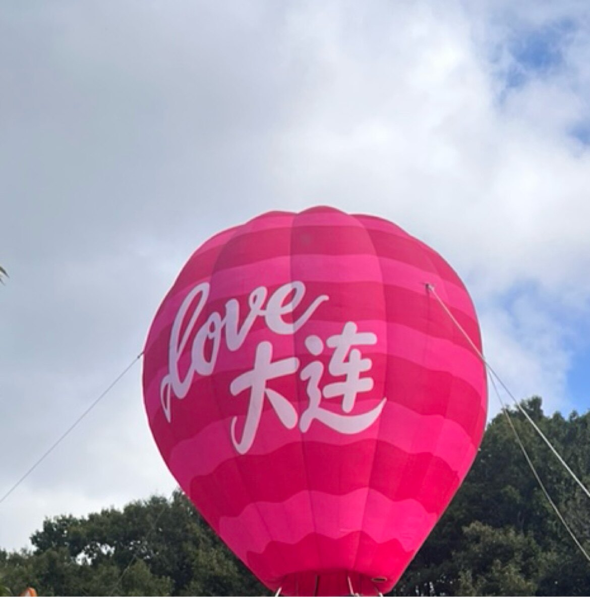 童趣潮盲乐乐屋