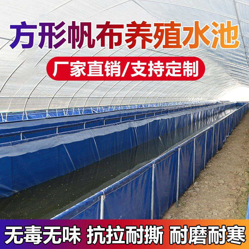 Canvas fish pond outdoor large knife scraping cloth greenhouse breeding water tank tarpaulin bullfrog aquatic leech lobster pond
