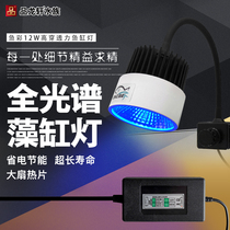 LED seawater full spectrum algae cylinder lamp water grass lamp grass cylinder clamp lamp aquarium algae lamp lighting coral lamp