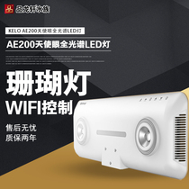 kelo AE200 Angel eye full spectrum LED coral light sea cylinder light WiFi control