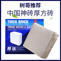 Tree Kömp God Brick Fish Tank Filter Material Bacteria House Jar Bottom Ball Bacteria Mp Square Brick Bacilli Filter Ring Removal NO3