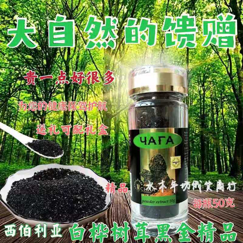 Birch Furry Powder Russian Siberian Wild White Birch Black Gold Birch Brown Pore Fungus 50 gr Fungal Raised Raw Tea