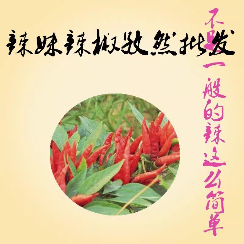 辣妹辣椒孜然批发店的LOGO