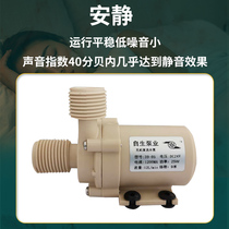 12V24V brushless DC water dispenser solar gas electric water heater high head pressurized cycle silent water pump