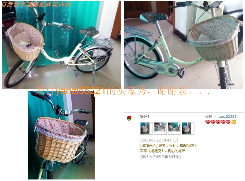 Panier pour vélo SUNNY WILLOW en vigne - Ref 2268379 Image 23