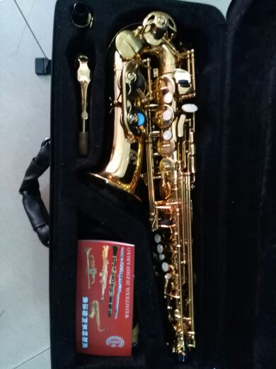 Hot selling promotion Sino-German joint venture Weston 206306 Type of medium Soxin saxophone