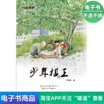 E-book Young Chess King