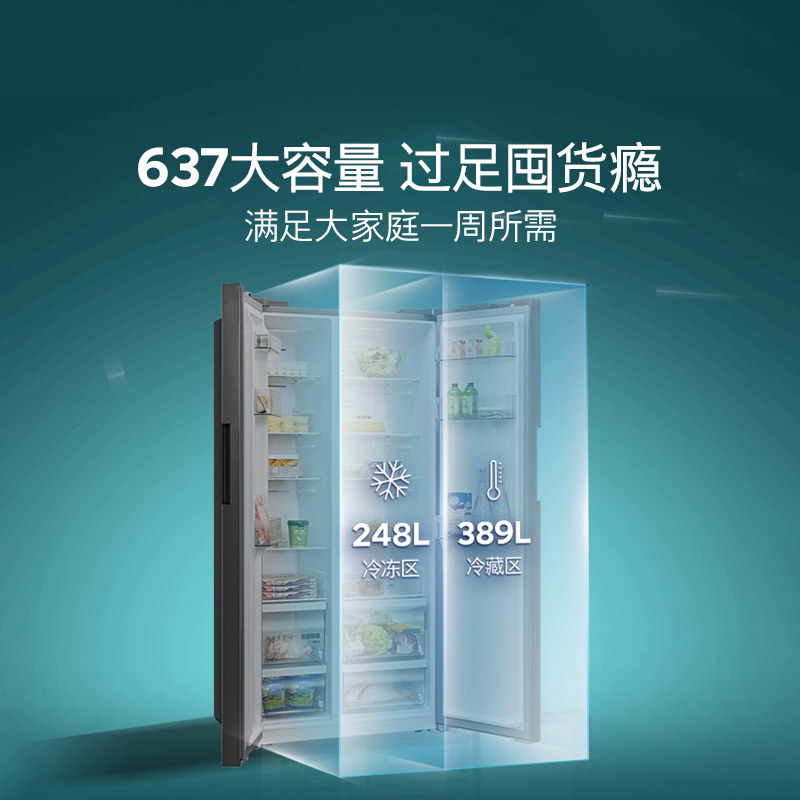 西门子KA99V1220C冰箱图片