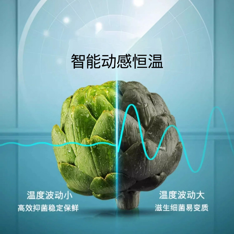 西门子KA99V1220C冰箱图片