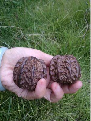 Vietnamese Sunken Fragrant Wood Carving Fitness Ball Black Sandalwood Red Wood Handicraft Ruyi Ball Wood Cliff Berry Pendulum Pieces Handlebar Pieces