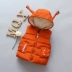 Đàn ông và phụ nữ 1-5 tuổi mùa thu đông xuống áo vest cotton 2 áo trẻ em cotton trùm đầu 3 trẻ em dày vest Áo ghi lê