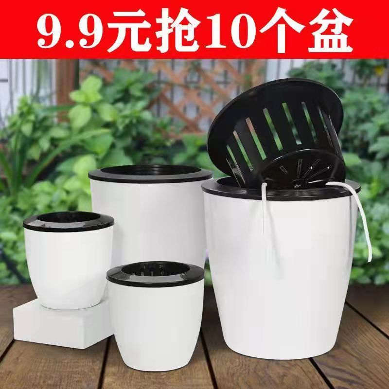 Self-Watering Flower Pot for Lazy People, Automatic Water-Absorbing Pot for Green Plants, Hydroponic Plant Pot, No Need to Water, Plastic Imitation Ceramic Self-Absorbing Pot Self-Watering Flower Pot for Lazy People, Automatic Water-Absorbing Pot for Green Plants, Hydroponic Plant Pot, No Need to Water, Plastic Imitation Ceramic Self-Absorbing Pot