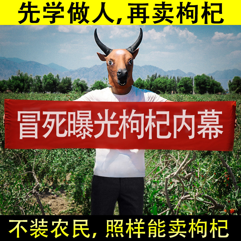 Bull Bold Ningxia Special Class Wolfberry 500g Zhengzong Meticulous Tea Conformation Large Grain free of washing in small packaging bag Ning Hong