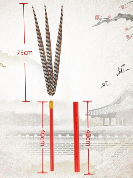 Temple Rituals, Music and Dance, Bird Feather Offerings, Worship of Confucius (Ancestral Worship), Grand Ceremony, Eight-Six-Person Dance, Dance Props
