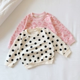 Хлопковая детская толстовка для девочек, куртка, осенняя, в корейском стиле, в западном стиле