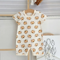 Медведь хурмы