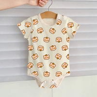 Медведь хурмы