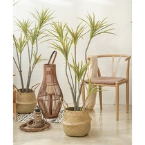 Decoration simulation plant indoor dragon blood tree millennial Wood fake green plant potted plant floor large living room Nordic ornaments tree