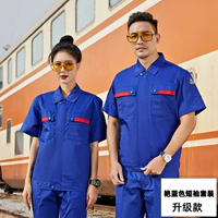 Berch -Blue Short -Sleeed Cust F6211d