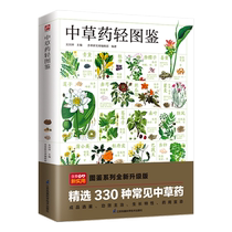 Chinese herbal medicine light illustration Chinese herbal medicine identification guide Chinese herbal medicine plant appreciation and identification high-definition color pictures Boku.com