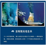 Краткий разговор о морских глубинах, Работы академика Ван Пиньсяня, воина глубокого моря [Хорошие книги Китая, 2020 г.] Справочная серия по морским ресурсам, Морская геология раскрывает тайну морских глубин, Популярные научно-популярные книги по естествознанию для учащихся начальной и средней школы
