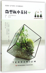 微型瓶中花园 博库网