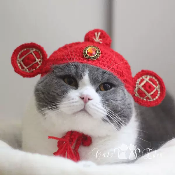 Товары от 可爱猫乐园