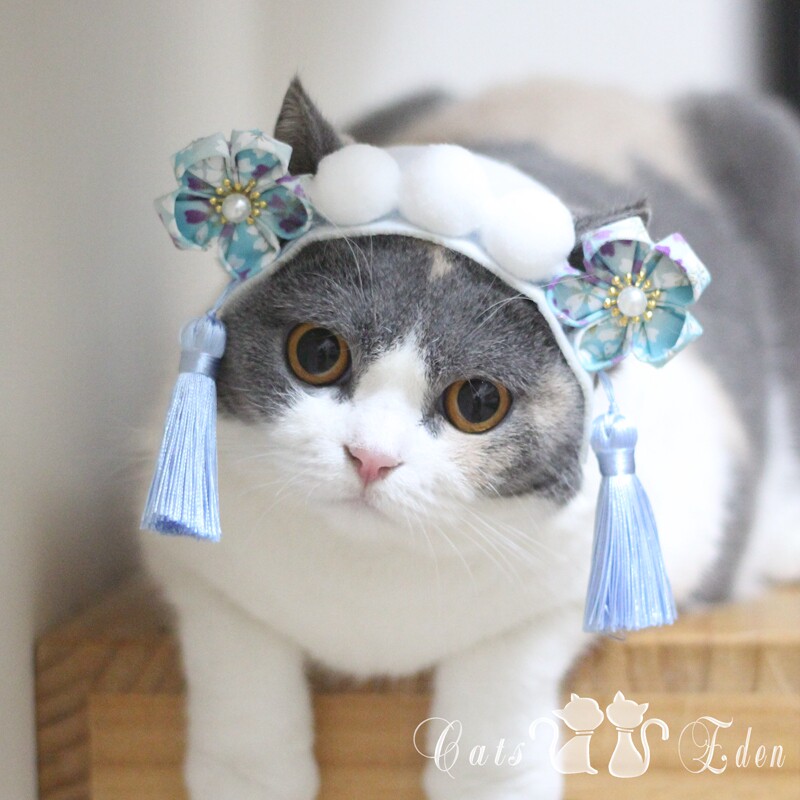 Cat Maid Headdress Japanese and Wind Traditional Classical Opera Peking Opera Pet Hat Hair Accessories Cute Chinese Dress Up