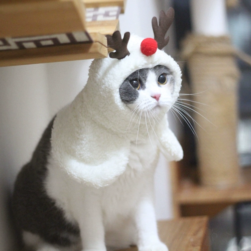 Рождественский плащ, шапка, воротник, накидка, милый аксессуар