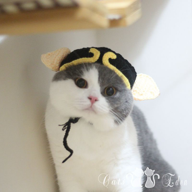 Pet cat dog pig eight quit funny Halloween handmade wool knit cross-dress hat headgear