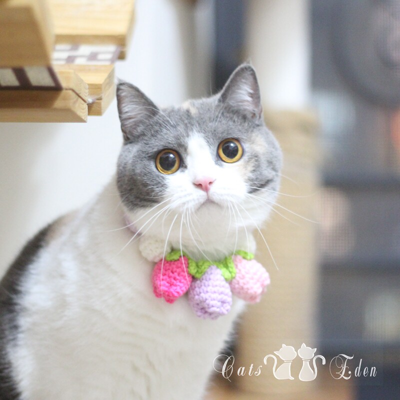 Small Fresh Pets Kitty Tulip Flowers Ball ball Item Circle Necklace Necklace Necklace necklace Item Circle New handmade items-Taobao