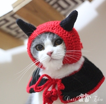 Pet cat bull devil little devil cloak hat shawl headgear funny transformation outfit TikTok photo taking cute