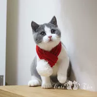 Удерживающий тепло праздничнный трикотажный милый шарф