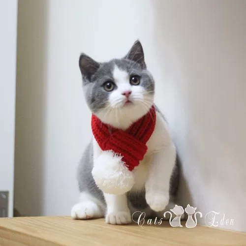 Удерживающий тепло праздничнный трикотажный милый шарф