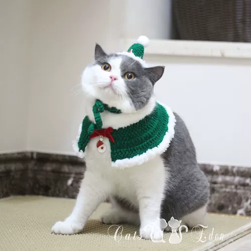 Шапка, шарф, накидка, плащ, милый комплект, наряжаться