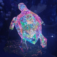 Призрачная длина черепахи 50*Ширина 40*Высота 20